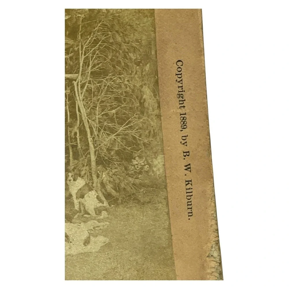 1889 BW Kilburn Stereoview In Camp Among the Pines Hunting‎ Scene Dogs
